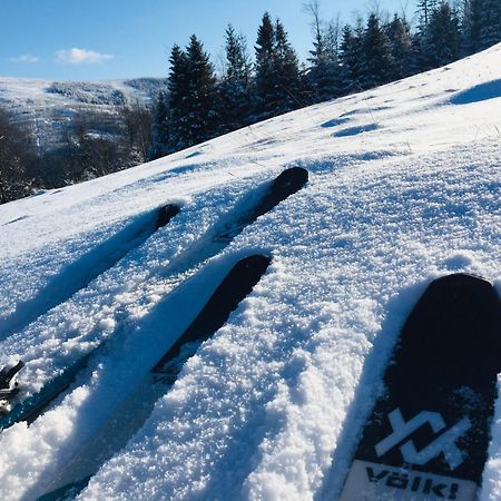 Widokowy Apartament Jodlowa Ski&Bike Szczyrk Εξωτερικό φωτογραφία
